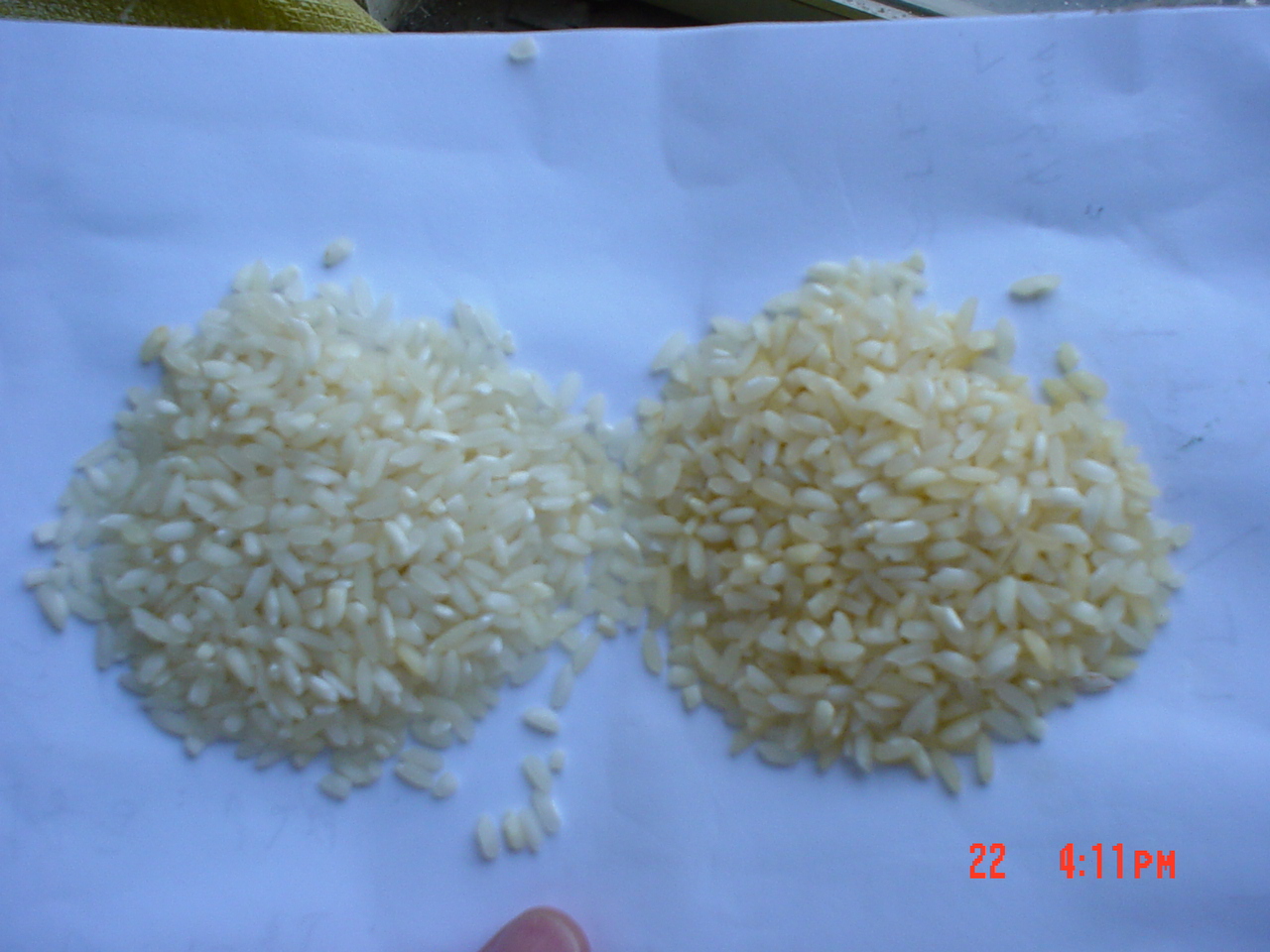 强化大米与非强化大米.jpg